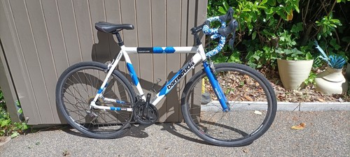 Team barracuda road bike - team,