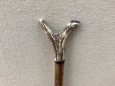 Red Deer Antler Walking  Hazel