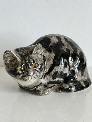 Winstanley cat tabby sitting - tabby,