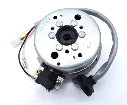 100cc atv stator - atv,