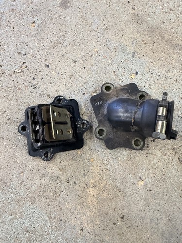 Apache 100cc rlx quad reed - 100cc,