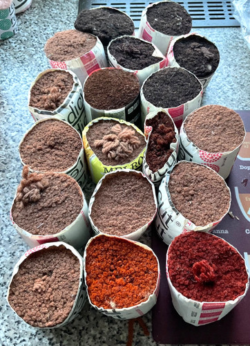 Readicut rug making - readicut,