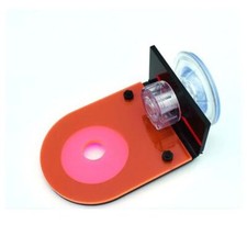 Coral Growing Coral Frag