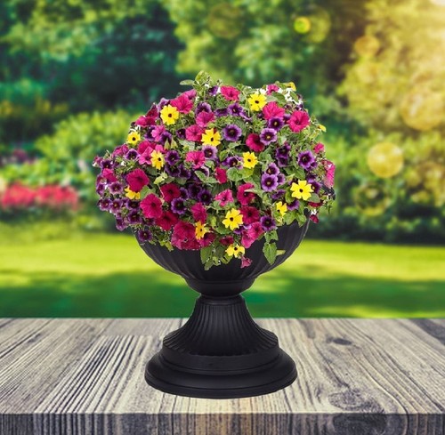 Black grecian urn patio - black,
