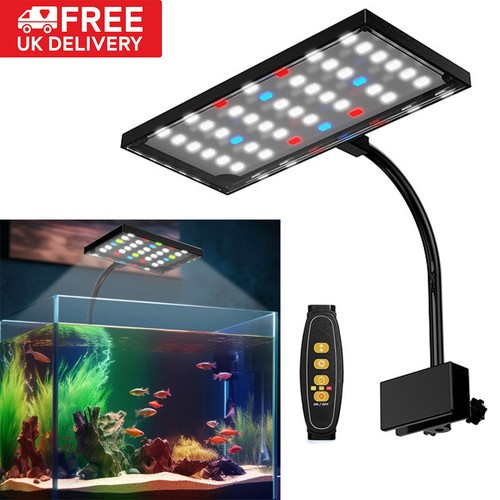 Aquarium fish tank - fish,
