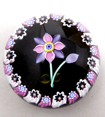 Peter mcdougall glass - peter,