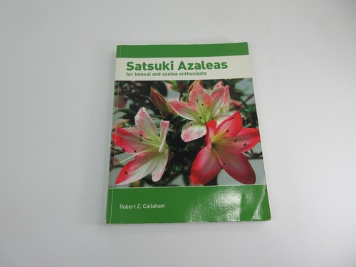 Satsuki azaleas for bonsai - satsuki,