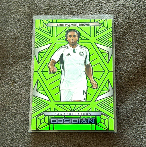 Panini obsidian 2024 erik - panini,