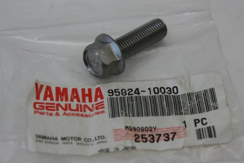 Screw bolt lower - lower, fork