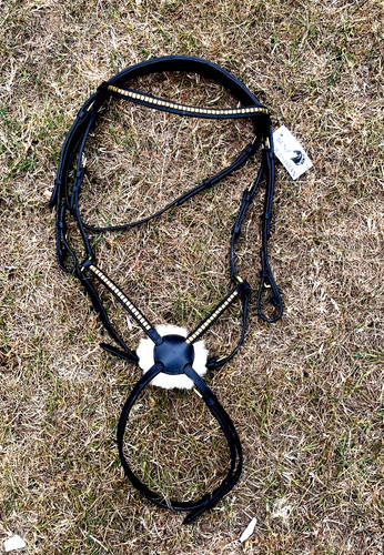 Clincher grackle bridle figure - grackle,
