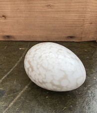 Iittala, Glass Egg Figurine