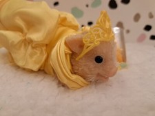 Micro Piglet Silicone Pig Disney Princess Belle  Gown   Limited Edition -No Pig