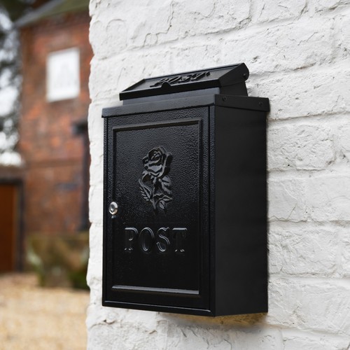Norfolk rose black - rose, wall
