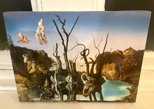 Salvador dali print - salvador,