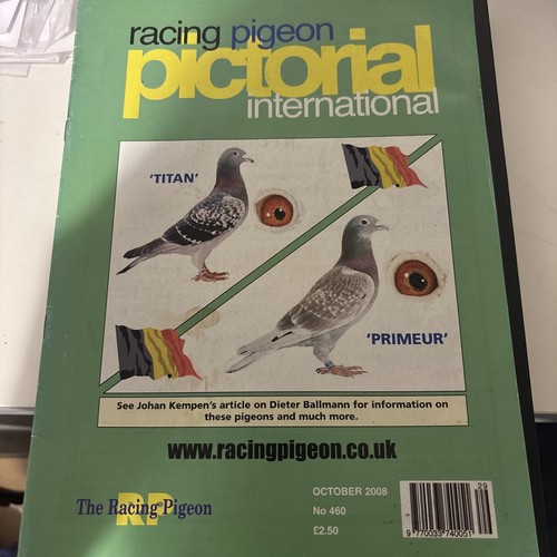 Racing pigeon pictorial - pigeon,