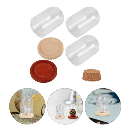 Glass dome with - glass, base