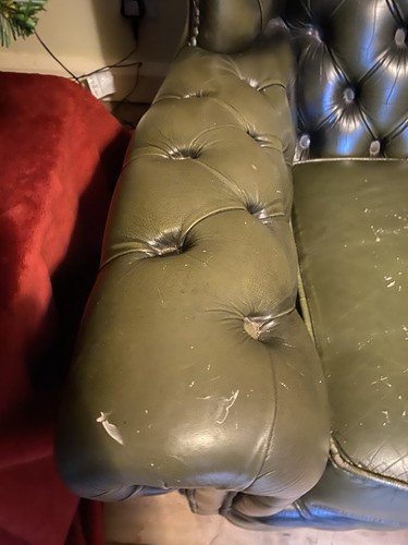 Queen anne green - anne, leather