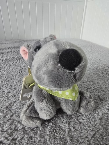 Kenji mima fluffy dog - fluffy,