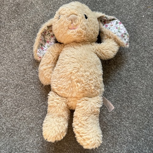 Pure baby bunny rabbit - bunny,