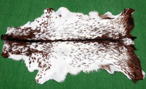 Luxury goat hide - luxury, on