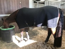 Thermatex Original SHR Horse Rug Cooler Black / Grey binding 6'0" X Surcingles