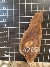 ITALIAN WALNUT LIVE EDGE SLAB KILN DRIED HARDWOOD CRAFT (A268)