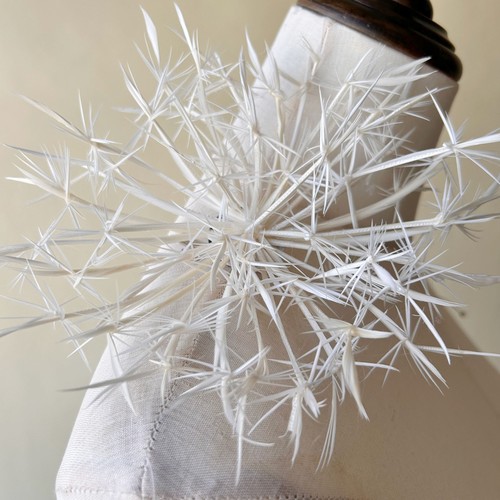 Feather fascinator for races - feather,