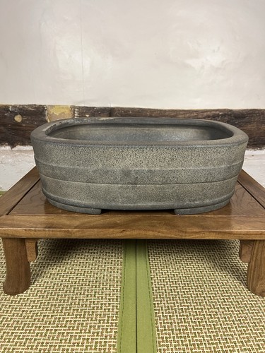 Aiba koyo bonsai - aiba,