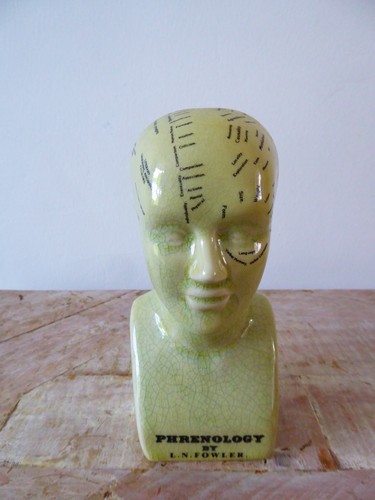 Phrenology head fowler - phrenology,