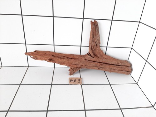 Fish tank driftwood aquarium - fish,