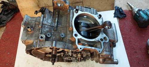 Quadzilla dinli 450 bottom end - 450,