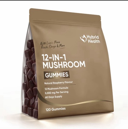 Hybrid health 1 mushroom - health,