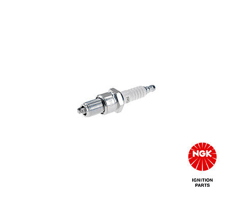 Spark plug for - spark,