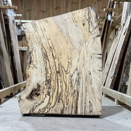 Spalted hornbeam plank - hornbeam,