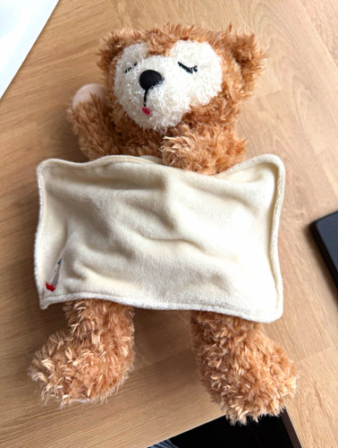 Tokyo disneysea teddy - teddy, bear