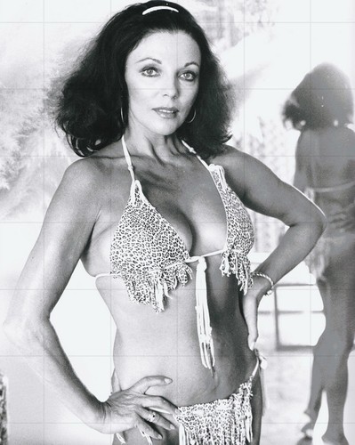 Joan collins 8 - joan, x