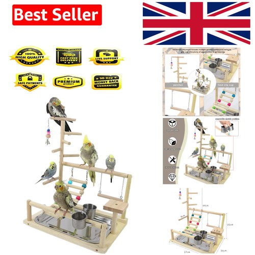 Bird playground parrot - playground, play