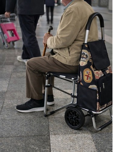 Foldable shopping trolley with - foldable,