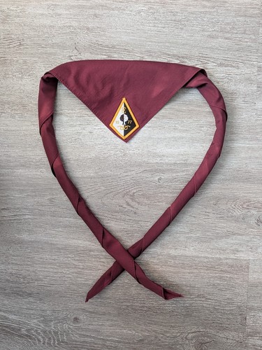 Scout youth necker scarf - youth,