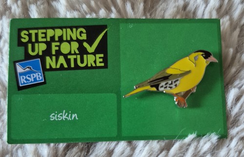 Rspb bird pin badge siskin - rspb,