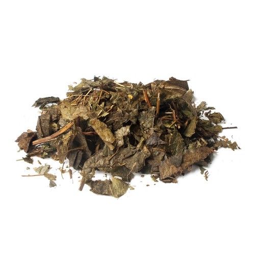 Horny goat weed epimedium - goat,
