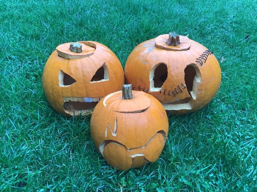 Pumpkin 8 seeds - pumpkin,