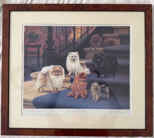Limited edition framed - edition,
