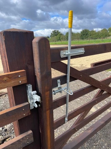 Bridleway footpath horse