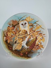 Coalport Collector's Display Plate "Barn Owl", Dated 1989