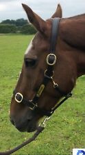 KHS Premium Leather Headcollar with buckled noseband and engraved nameplate