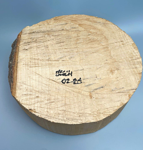 Large beech bowl blank - large,