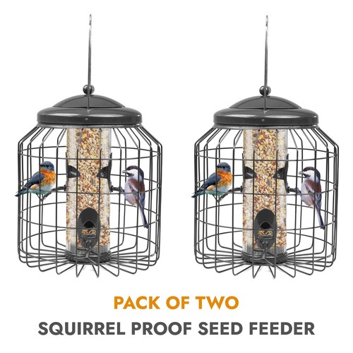 Squirrel proof hanging - 2,