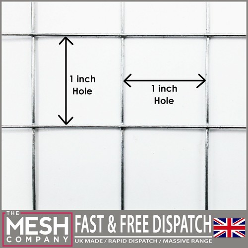 The mesh company - the,