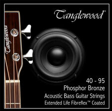 Tanglewood TWGS Fibreflex